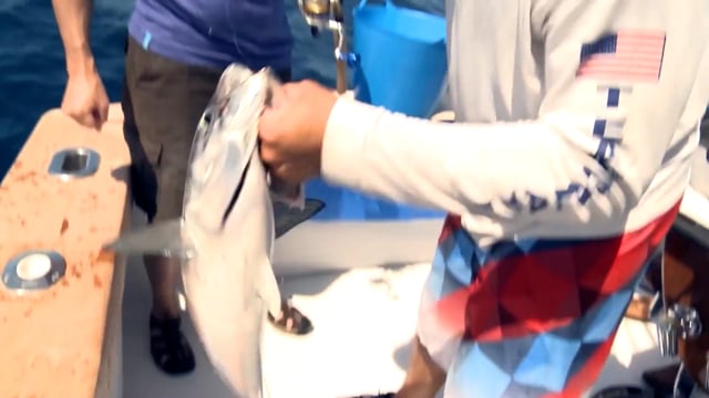 Hybridlight's Fishing Adventures with Jimmy Sites - Season 1 - Episode 1 - A Day with Tony Dungy