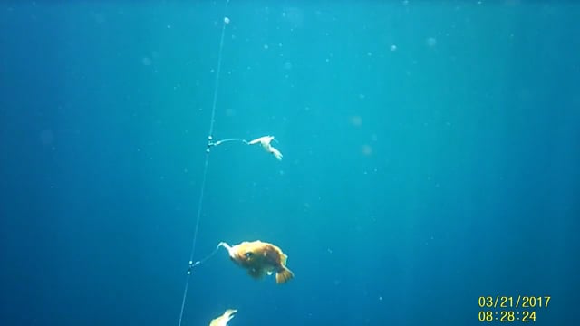 True Life Hunting Adventures - Season 3 - Episode 26 - Offshore Deep Sea Fishing