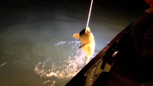 True Life Hunting Adventures - Season 3 - Episode 23 - Walleye on the Great Lakes