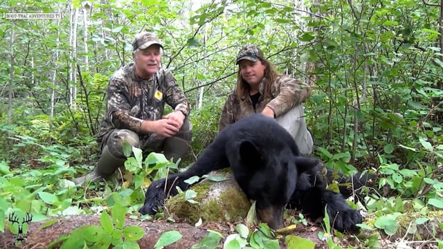 Boot-Trac Adventures - Season 5 - Episode 13 - Black Bear Bonanza!