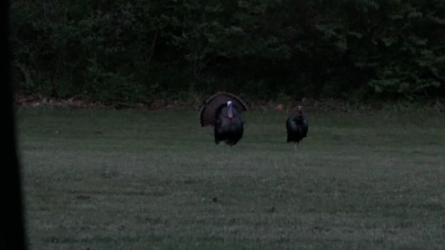 Spiritual Outdoor Adventures - Season 20 - Episode 12 - CONQUEST OF FUR AND FEATHERS