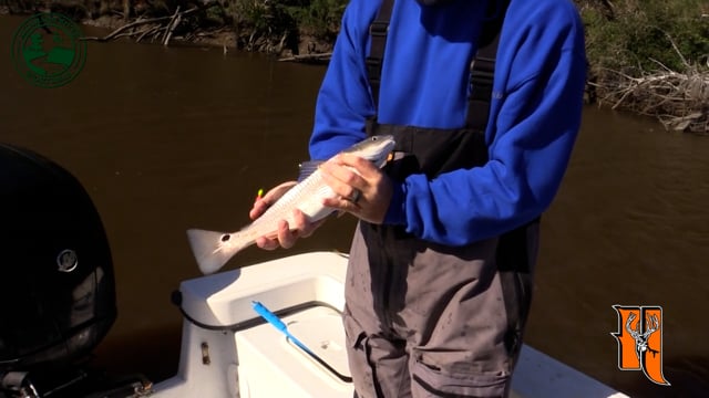 Altamaha River Sportman - Season 2 - Episode 4 - The Bad The Good And The Ugly