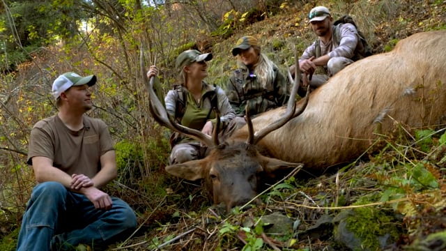 The Most Wanted List - Season 5 - Episode 1 - 5 Hunts and a Baby