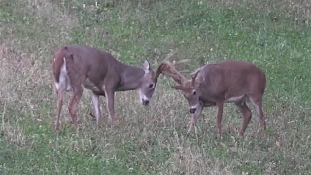 Spiritual Outdoor Adventures - Season 19 - Episode 7 - Daughers Day Out Revised