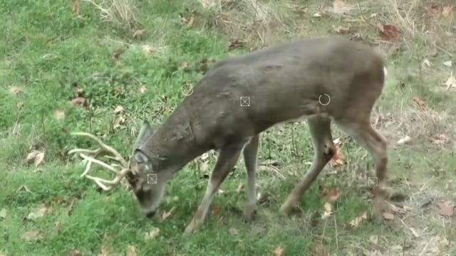 Own the Season TV - Season 1 - Episode 13 - Yukon moose and Wisconsin Whitetail