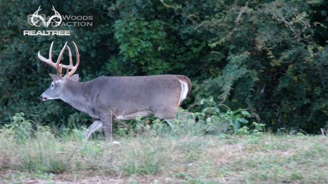 Hunt Club with Phillip Culpepper - Season 1 - Episode 15 - Big 8 Miss & George Jones Intro