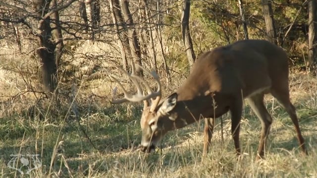 Own the Season TV - Season 1 - Episode 9 - Bowhunting a big Kansas whitetails