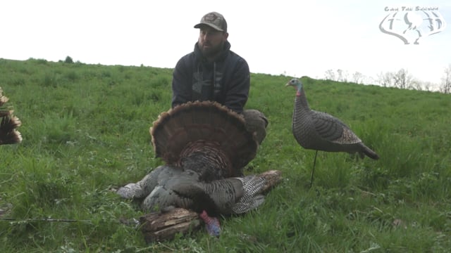 Own the Season TV - Season 1 - Episode 5 - Fighting Gobblers