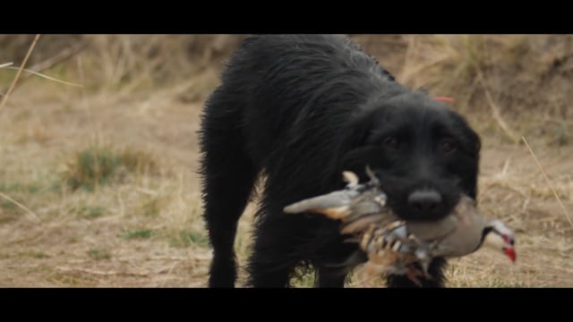 Frontier Unlimited - Season 10 - Episode 8 - Chuckar in Wild Rye