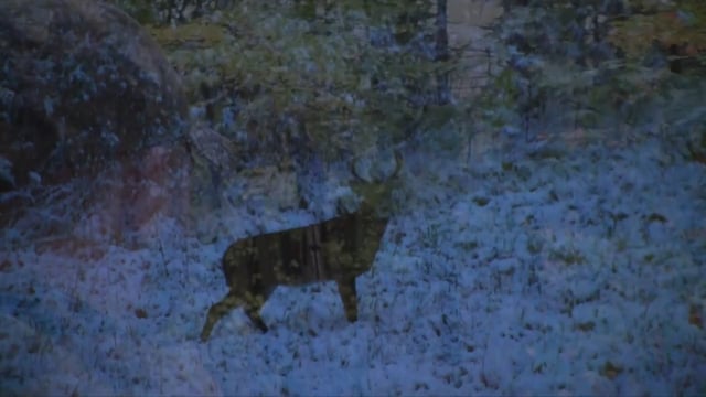 Experience New York Outdoors - Season 1 - Episode 8 - Whitetails and Wine