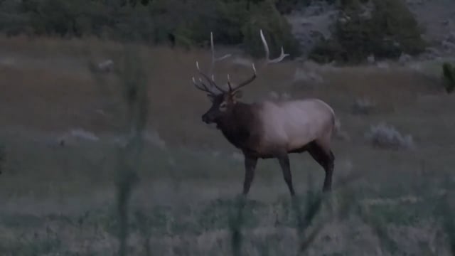 Innerlocs Outthere - Season 13 - Episode 2 - Early Season opportunities
