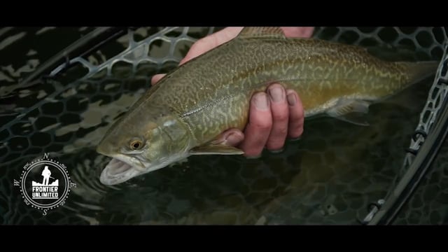 Frontier Unlimited - Season 10 - Episode 7 - Diamond Tiger Trout