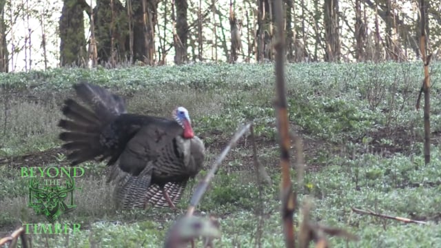 Experience New York Outdoors - Season 1 - Episode 7 - Turkey's Gone Coastal