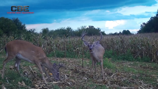 Hunt Club with Phillip Culpepper - Season 1 - Episode 4 - Velvet Bucks and Bows Getting Ready for Opening Day