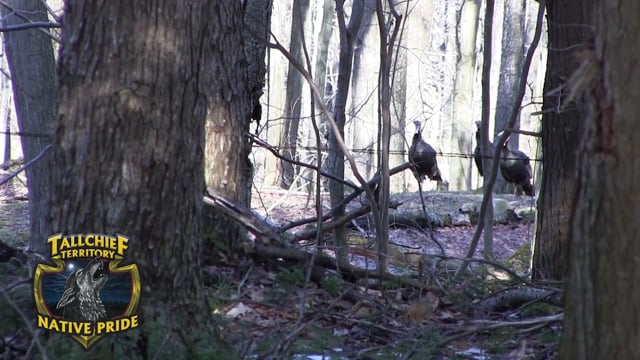Experience New York Outdoors - Season 1 - Episode 3 - Youth Movement