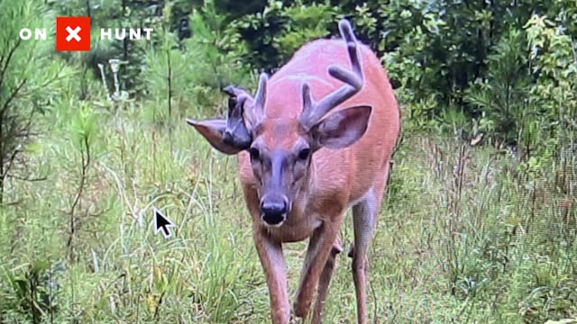 Hunt Club with Phillip Culpepper - Season 1 - Episode 2 - Deer Feeder FAIL Preseason Prep
