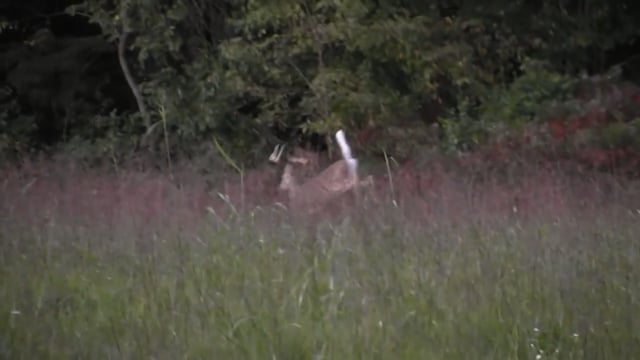 BitterSweet Outdoors - Season 2 - Episode 2 - Getting Out of Your Comfort Zone Pt 1