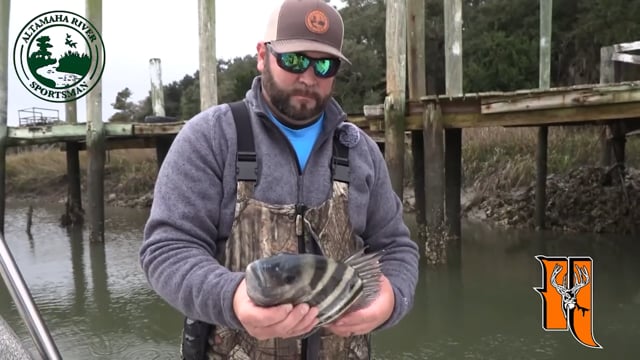 Altamaha River Sportman - Season 3 - Episode 1 - Sheepshead