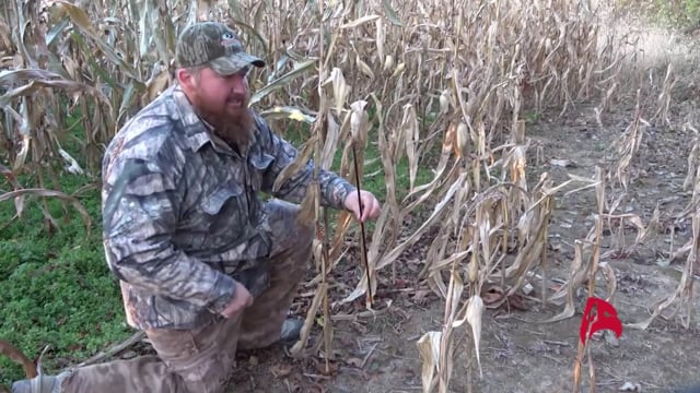 True Life Hunting Adventures - Season 3 - Episode 10 - Short Action Customs