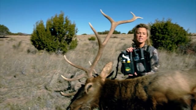 Brock's Huntin Cabins and More - Season 2 - Episode 6 - Poland Bound