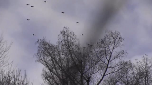 Living the Dream Outdoors - Season 1 - Episode 2 - Duck Hunting on the Black River