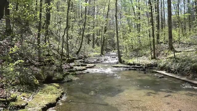 Spiritual Outdoor Adventures 23rd Psalm in Troubled Times - Episode 4