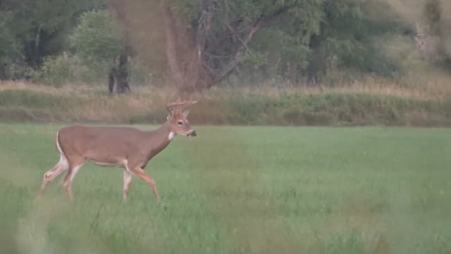 Total Outdoor Pursuit - Season 5 - Episode 2 - Nebraska Mulies & Velvet Whitetails