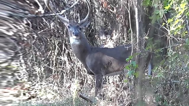 Spiritual Outdoor Adventures - Season 19 - Episode 10 - Deer Camp in South Carolina Part 1 Revised