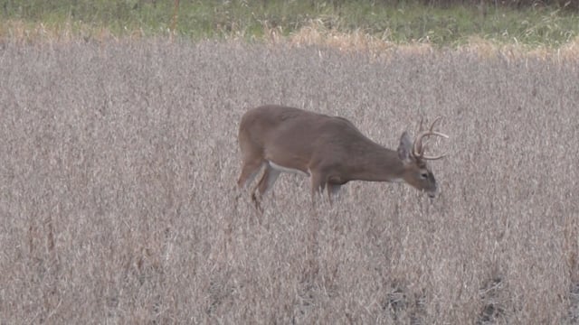 Open Season TV - Season 12 - Episode 13 - Indiana Whitetails Part 3
