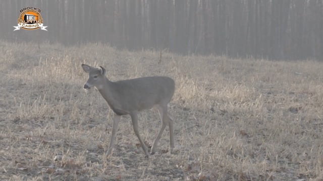 Brock's Huntin Cabins and More - Season 2 - Episode 1 - Goodwater Alabama Elk Series Cabin