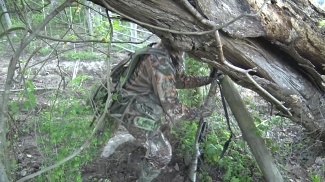 Aaron Outdoors - Season 5 - Episode 4 - Bulls & Toms