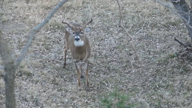 Love Of The Hunt - Season 2 - Episode 1 - Pop's vs Kansas