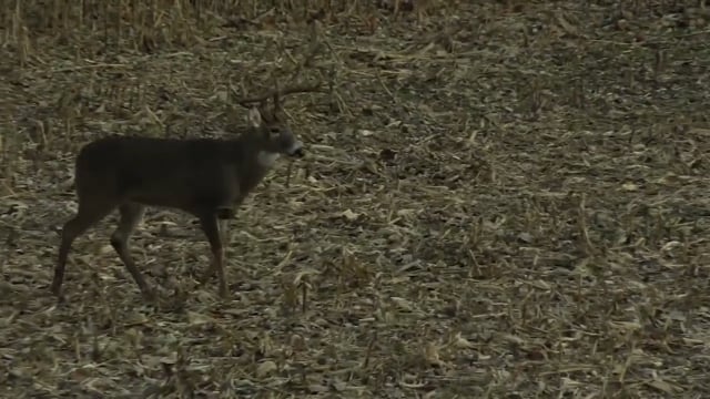 Real South Hunting - Season 5 - Episode 8 - Arkansas Finale