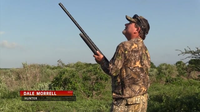 Jimmy Houston Outdoors - Episode 28 - Mexico Dove Hunt