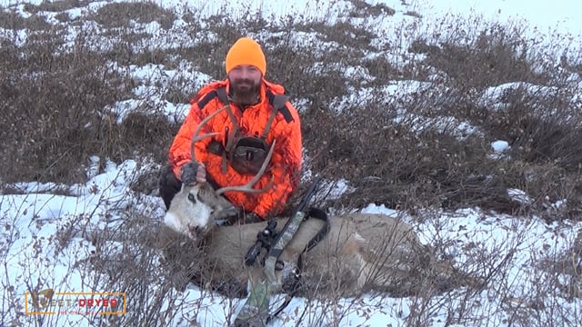 Boot-Trac Adventures - Season 4 - Episode 11 - Last Minute Muley