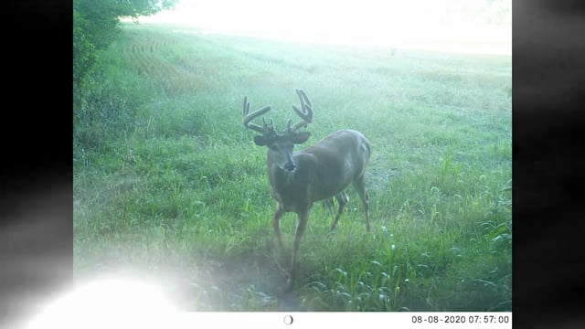 True Life Hunting Adventures - Season 2 - Episode 23 - Part 2 of Behind the Scenes in Ohio