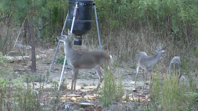 704 Outdoors - Season 6 - Episode 8 - 3rd Time's the Charm