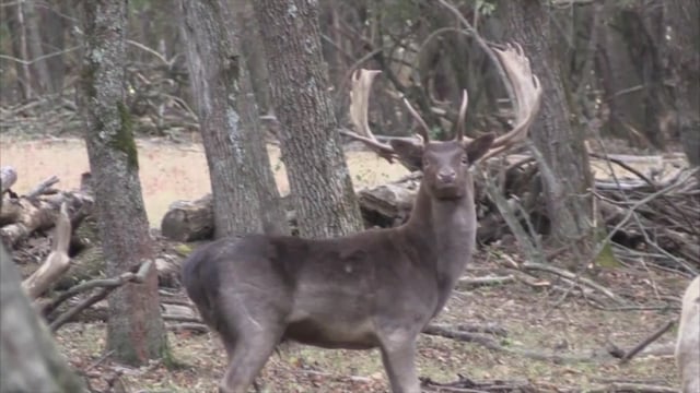 Dirt Road Outdoors TV - Season 6 - Show 12 - Key West