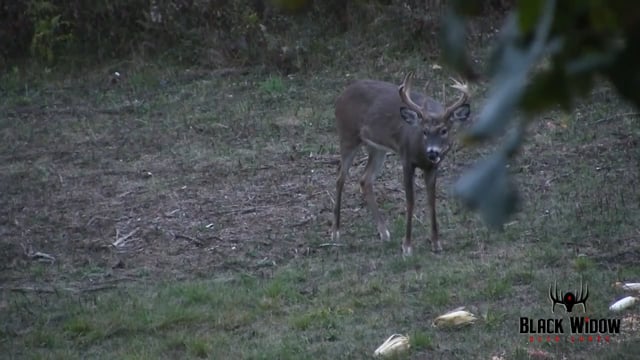 Widow Makers TV - Season 2 - Episode 4 - Ohio Deer Hunt Pt1