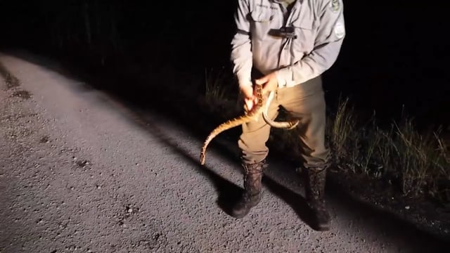 Let's Take it Outside - Season 1 - Episode 4 - Python Hunting in the Everglades it's getting real