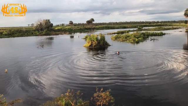 Dirt Road Outdoors TV - Season 6 - Show  11 - Carpo's in Florida