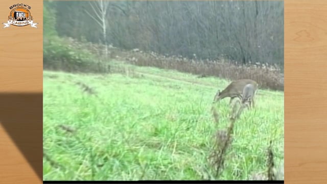 Brock's Huntin Cabins and More - Season 1 - Episode 1 - The Log Mill & Whitetail Deer Hunting