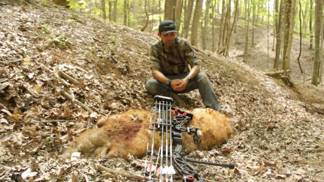 Wicked Stick Outdoors - Season 4 - Episode 2 - Young Gun & Wild Pigs Revised