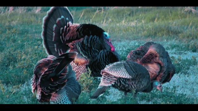 Sons of Fall The Huntsman - Season 1 - Episode 2