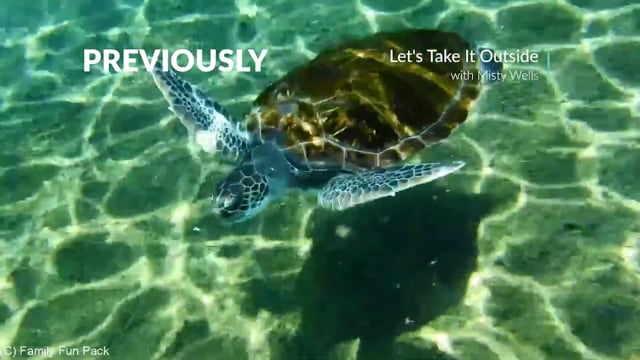 Let's Take it Outside - Season 1 - Episode 2 - Cayman Islands 12 Mile Bank Wahoo & Tuna