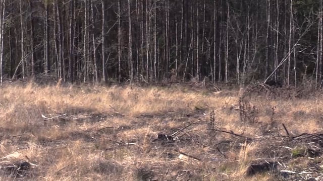Real South Hunting - Season 4 Episode 08
