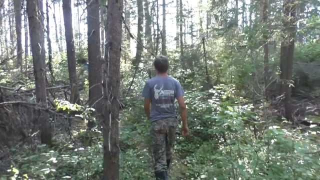 All Seasons Pursuit - Season 3 - Episode 6 - Alex's First Bear.mp4
