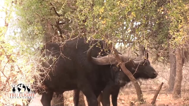 Giving Back TV - Season 3 - Episode 6 - Friends hunt the dark continent.mp4