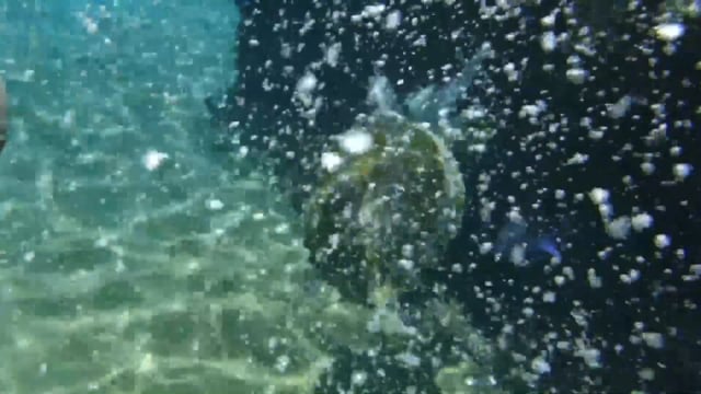 Let's Take it Outside with Misty Wells - Episode 7 - Adrenaline Rush In The Caymans Pt.2.mp4