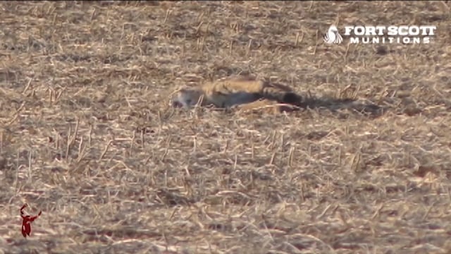 All Seasons Pursuit - Season 3 - Episode 1 - Todd's Bobcat.mp4